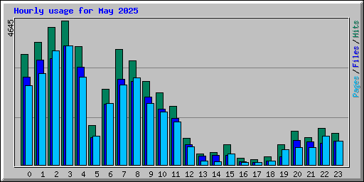 Hourly usage for May 2025