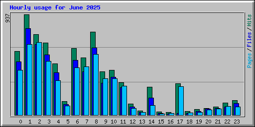 Hourly usage for June 2025