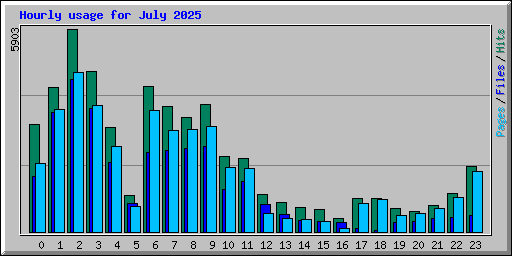 Hourly usage for July 2025