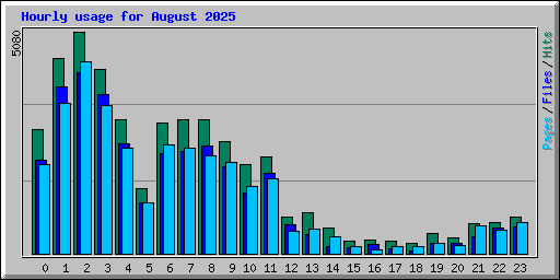 Hourly usage for August 2025