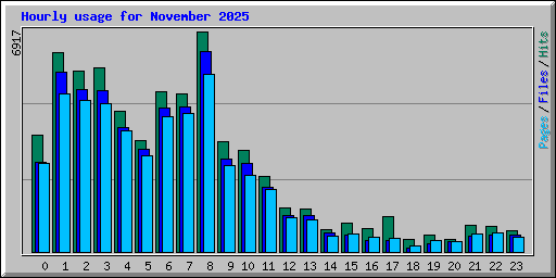 Hourly usage for November 2025