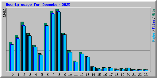 Hourly usage for December 2025