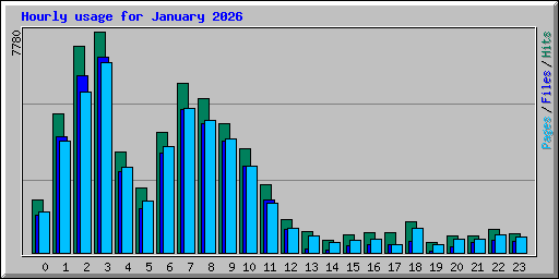 Hourly usage for January 2026