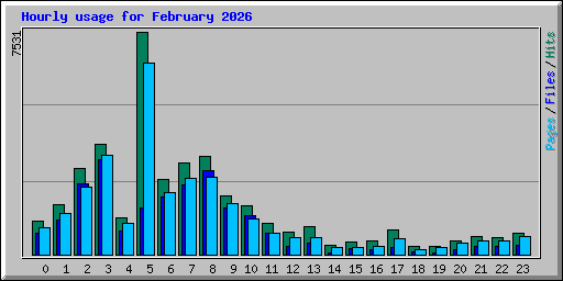 Hourly usage for February 2026