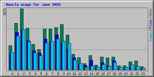 Hourly usage for June 2026